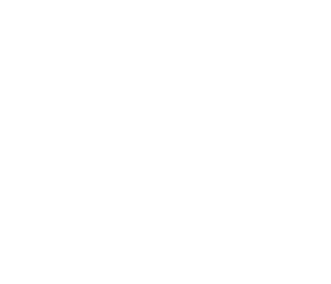 logo_sophia_bianco-1-300x258